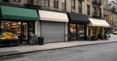 Row of shops lining NY streets.