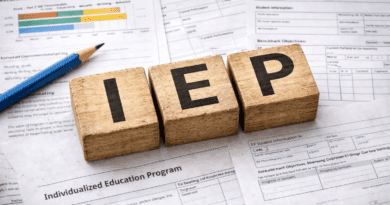 IEP documents and wooden blocks